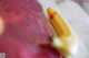 A banana sitting on top of a plastic bag.